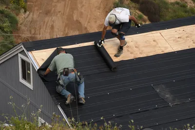 DSC_5081 (Large).JPG